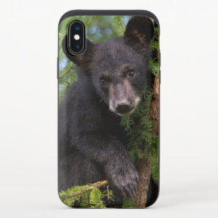 Coque Coulissante Pour iPhone X Un club d'ours noir joue dans les arbres