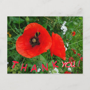 Coquelicots avec carte postale THANK YOU d'abeille