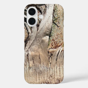 COQUE POUR iPhone 16