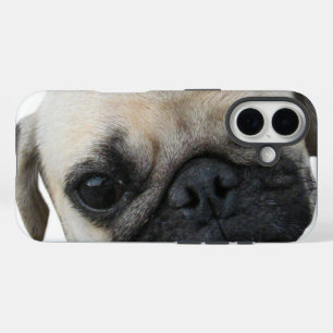Coques iPhone 16 かわいい子犬 mignon d'ami de chien de carlin de chiot…