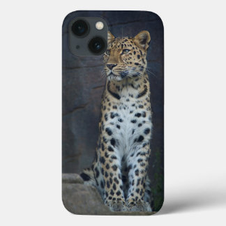 Coques Pour iPhone 6 case
