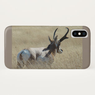 Coques Pour iPhone A14 Pronghorn Antelope Sunshine Buck