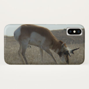Coques Pour iPhone A34 Pronghorn Antelope