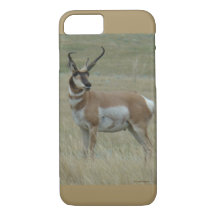 A37 Pronghorn Antelope