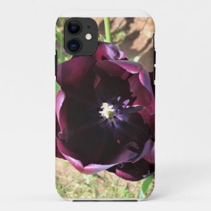 Case-Mate iPhone Case À l'intérieur de la tulipe Reine de la Nuit