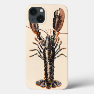 iPhone 13 Case A Lobster from Solva