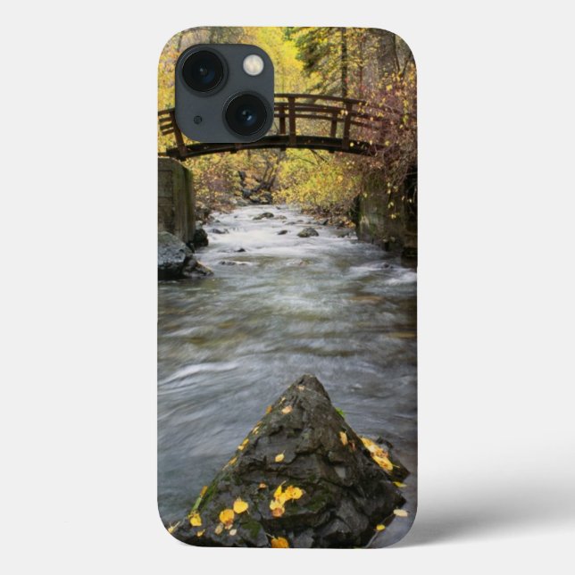 Coques Case-Mate iPhone A River Running Through American Fork Canyon (Verso)