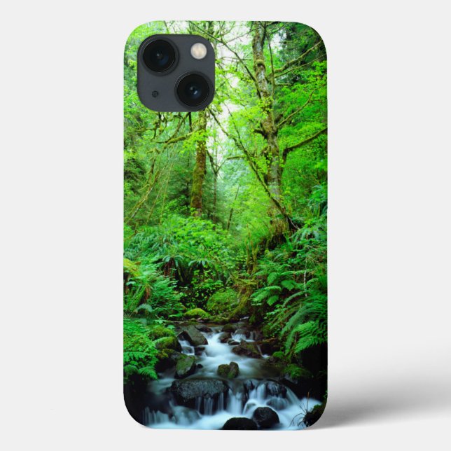 Coques Case-Mate iPhone A stream en old-growth forest (Verso)