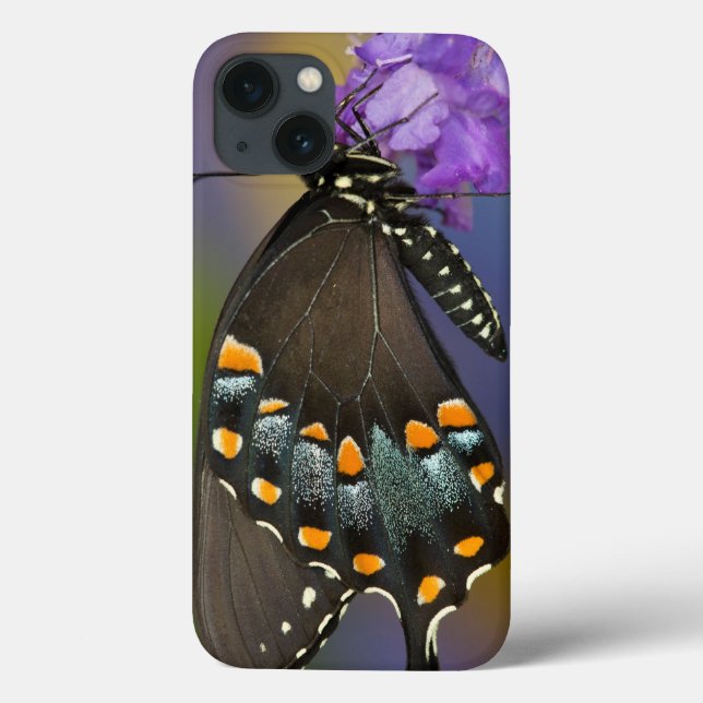 Coques Case-Mate iPhone A Sulphur Butterfly (Verso)