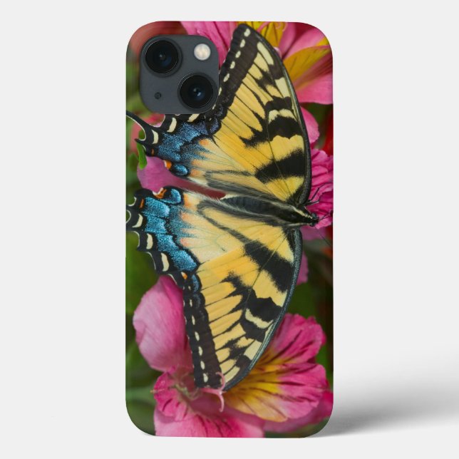 Coques Case-Mate iPhone A Tiger Swallowtail Butterfly (Verso)