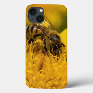iPhone 13 Coque Abeille africaine de miel avec l'alimentation de