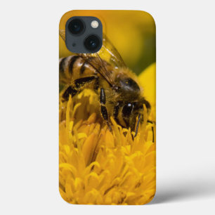 iPhone 13 Coque Abeille africaine de miel avec l'alimentation de