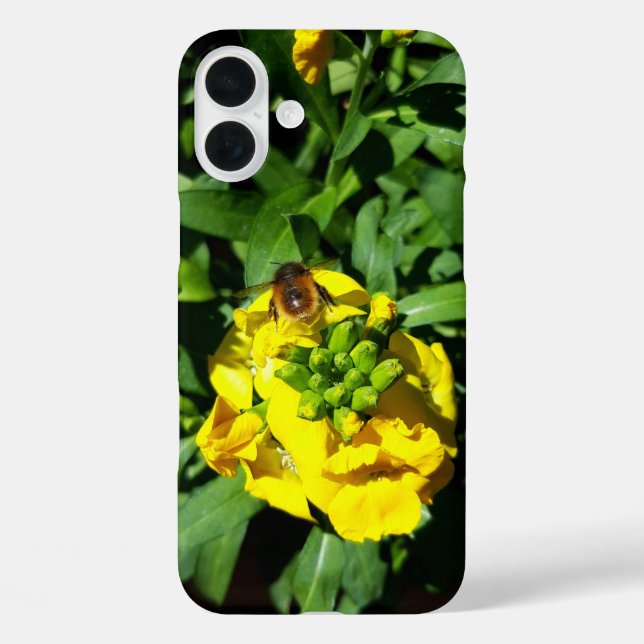 Coques Case-Mate iPhone Abeille sur Fleurs Jaunes (Verso)