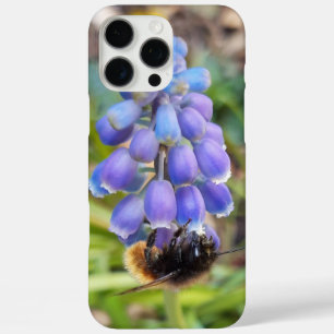 Coque iPhone 16 Pro Max Abeille sur Muscari Armeniacum, Grape Hyacinth
