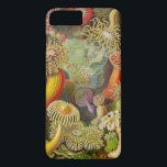 Coque iPhone 7 Plus Actinae Ocean Life d'Ernst Haeckel<br><div class="desc">Illustration vintage de l'océan par le biologiste allemand Ernst Haeckel</div>