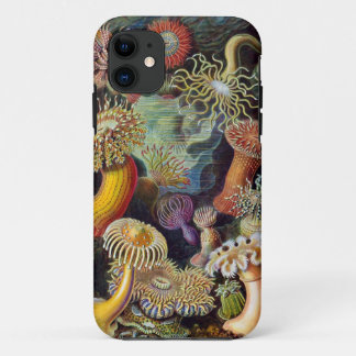 Etui iPhone Case-Mate Actinies d'Ernst Haeckel