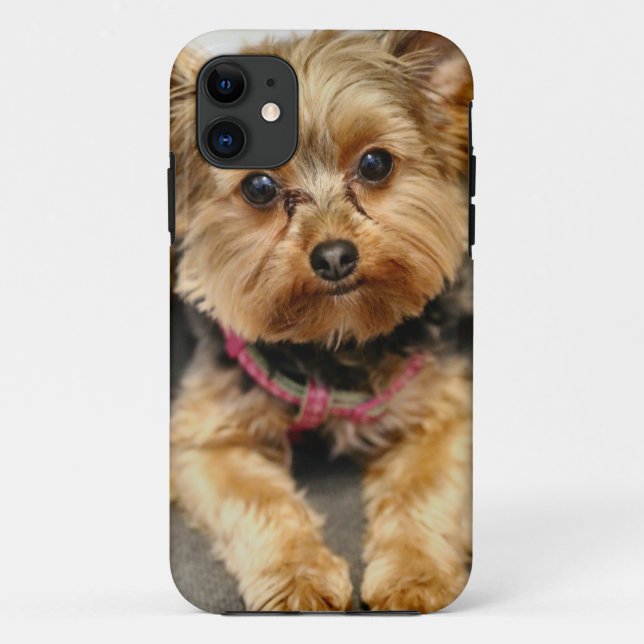 Coques Case-Mate iPhone Adorable (Dos)