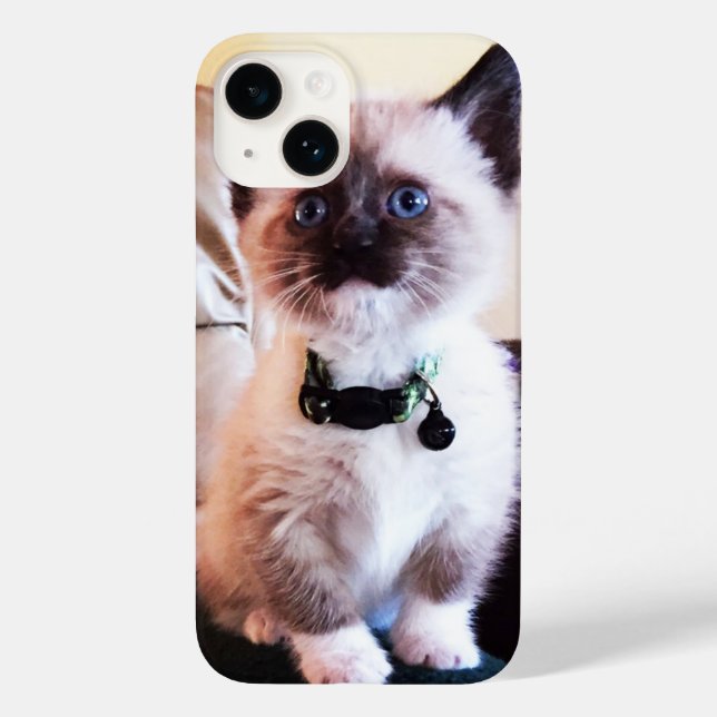 Coques Case-Mate iPhone Adorable Blue Eyed Siamese Kitten Photo (Verso)