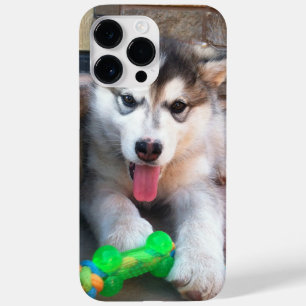 Coque Case-Mate iPhone Adorable Marionnette Alaskan Malamute photo
