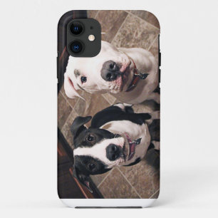 Coque Case-Mate iPhone adorables chiots pitbull chiens
