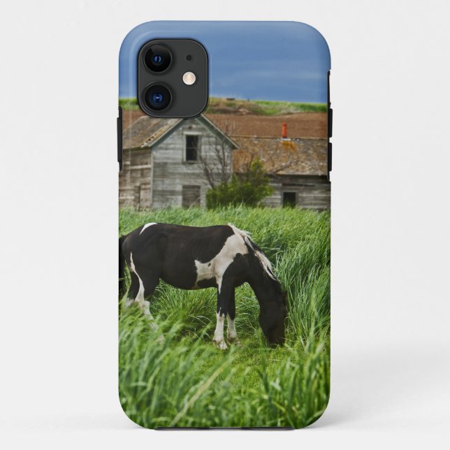 Coques Case-Mate iPhone Affichage des chevaux dans un champ de la Palouse  (Dos)