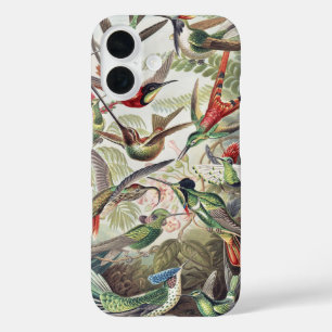 Coque Pour iPhone 16 Affiche vintage colorée d'Ernst Haeckel sur les co