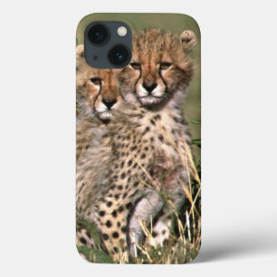 Etui iPhone Case-Mate Africa; Kenya; Masai Mara; Three cheetah cubs