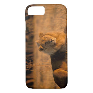 Coque Case-Mate iPhone Afrique, Botswana, delta de l'Okavango. Lion (Pant