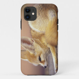Coques Pour iPhone Afrique du Nord. Fennec Fennecus zerda)