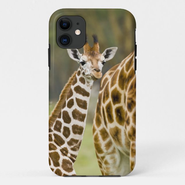 Coques Case-Mate iPhone Afrique. Kenya. Girafe de Rothschild bébé (Dos)