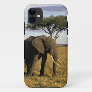 Etui iPhone Case-Mate Afrique, Kenya, Maasai Mara. Un éléphant dans le