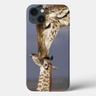 iPhone 13 Coque Afrique, Kenya, Masai Mara. Girafes (Giraffa