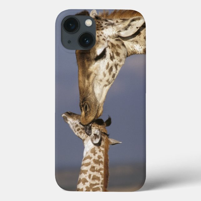 Coques Case-Mate iPhone Afrique, Kenya, Masai Mara. Girafes (Giraffa (Verso)