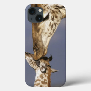 Etui iPhone 13 Afrique, Kenya, Masai Mara. Girafes (Giraffa