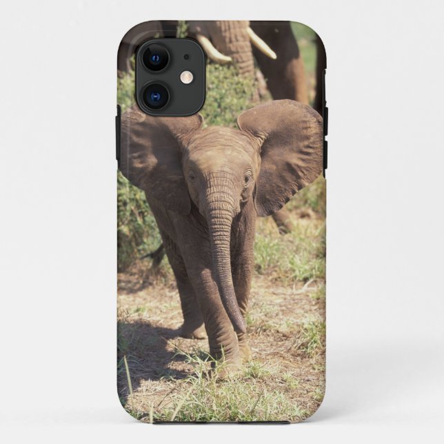 Coques Case-Mate iPhone Afrique, Kenya, Parc national d'Amboseli. Africain (Dos)