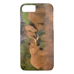Coque Case-Mate iPhone Afrique, Kenya, Samburu. Défi des éléphants