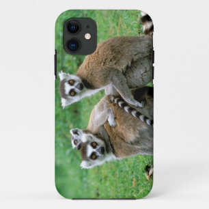 Coque Case-Mate Pour iPhone Afrique, Madagascar, Antananarivo, Tsimbazaza