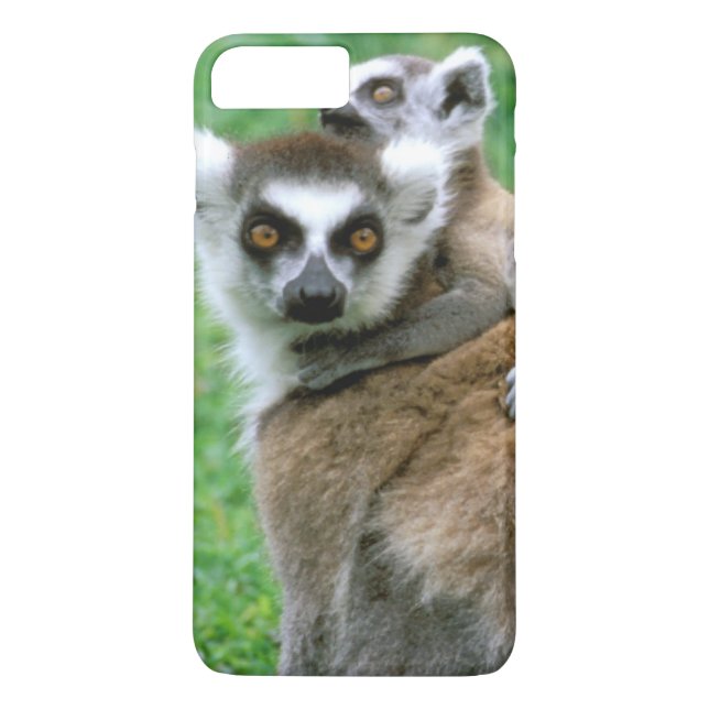 Coques Case-Mate iPhone Afrique, Madagascar, Antananarivo, Tsimbazaza (Dos)