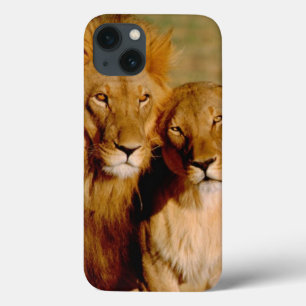 iPhone 13 Coque Afrique, Namibie, Okonjima. Lion & lionne