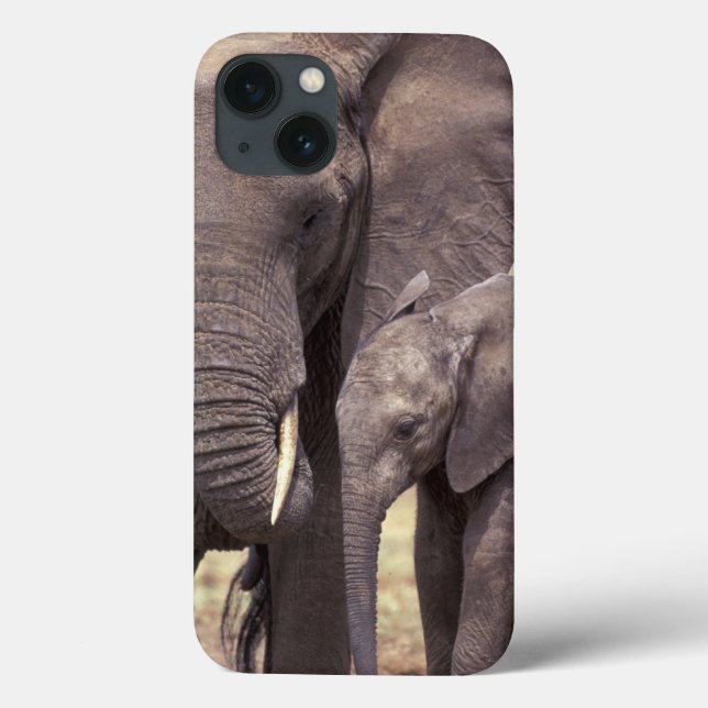 Coques Case-Mate iPhone Afrique, Tanzanie, Parc national de Tarangire. 2 (Verso)
