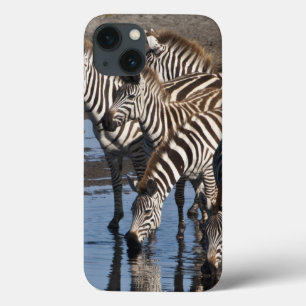 iPhone 13 Case Afrique. Tanzanie. Zèbres buvant à Ndutu