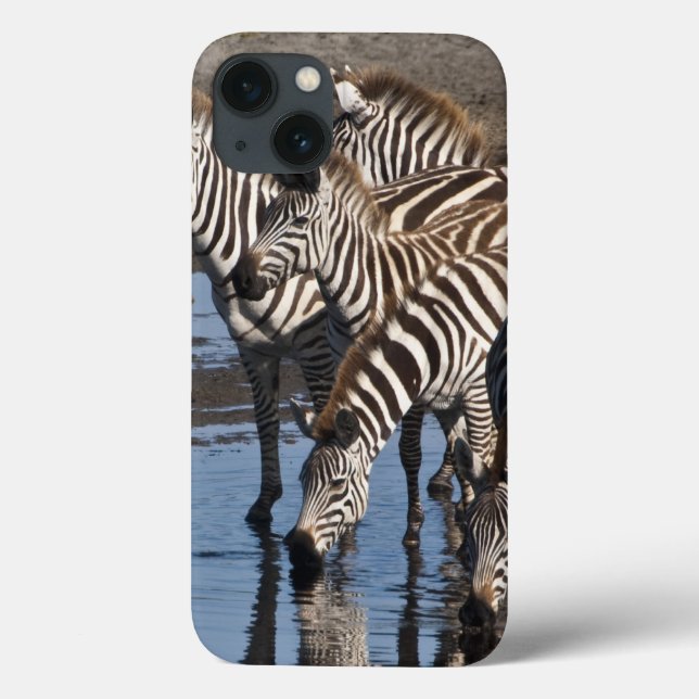Coques Case-Mate iPhone Afrique. Tanzanie. Zèbres buvant à Ndutu (Verso)