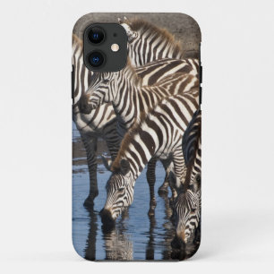 Etui iPhone Case-Mate Afrique. Tanzanie. Zèbres buvant à Ndutu