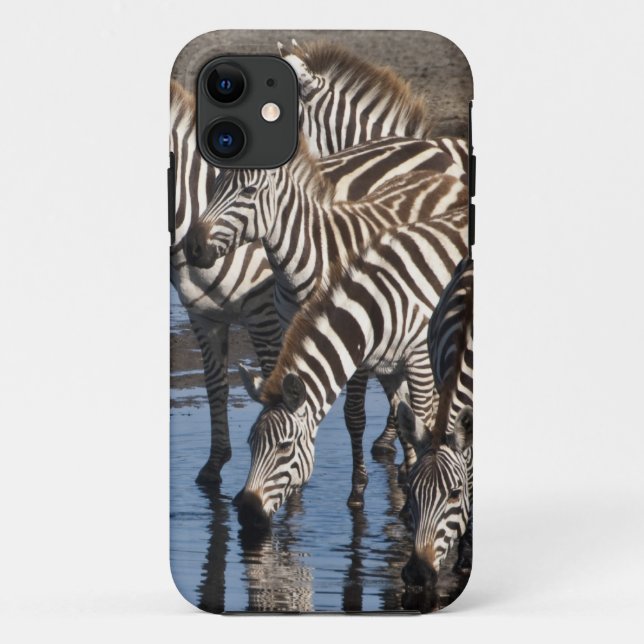 Coques Case-Mate iPhone Afrique. Tanzanie. Zèbres buvant à Ndutu (Dos)