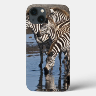 Coques Pour iPhone Afrique. Tanzanie. Zèbres buvant à Ndutu