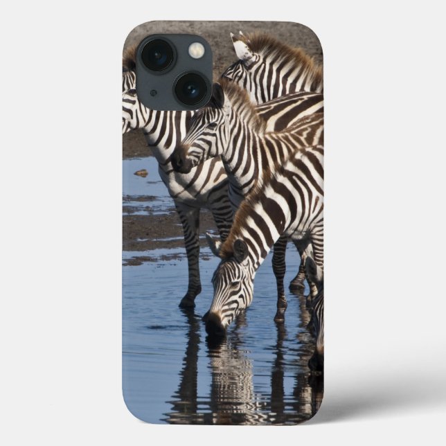 Coques Case-Mate iPhone Afrique. Tanzanie. Zèbres buvant à Ndutu (Verso)