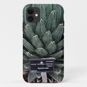 Coque iPhone 11 Agave Victoria Photo iPhone SE + iPhone 5/5S
