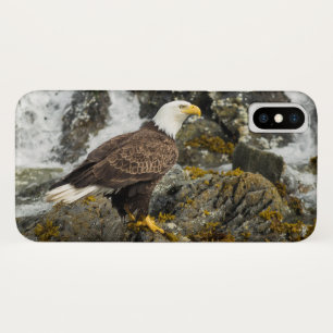 Case-Mate iPhone Case Aigle à tête blanche