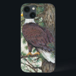 Etui iPhone 13 Aigle à tête blanche<br><div class="desc">Bald Eage on Branch Artist : Tim OToole</div>