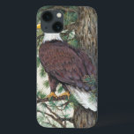 Etui iPhone 13 Aigle à tête blanche<br><div class="desc">Bald Eage on Branch Artist : Tim OToole</div>